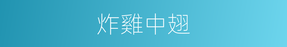 炸雞中翅的同義詞
