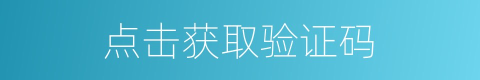 点击获取验证码的同义词