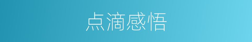 点滴感悟的同义词