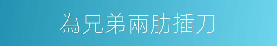 為兄弟兩肋插刀的同義詞