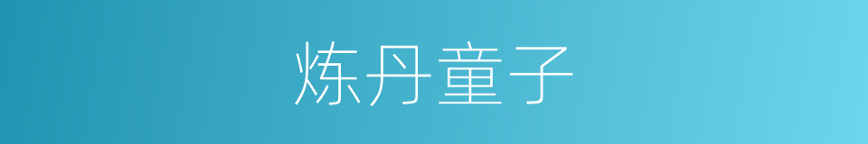 炼丹童子的同义词