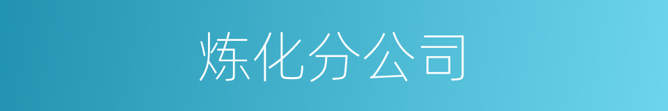 炼化分公司的同义词