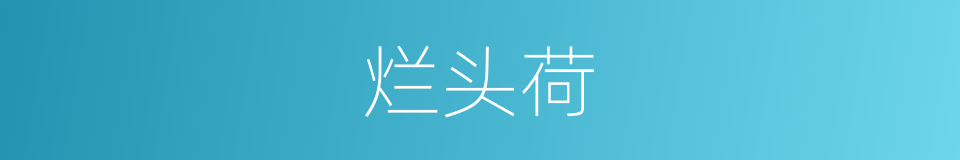 烂头荷的同义词