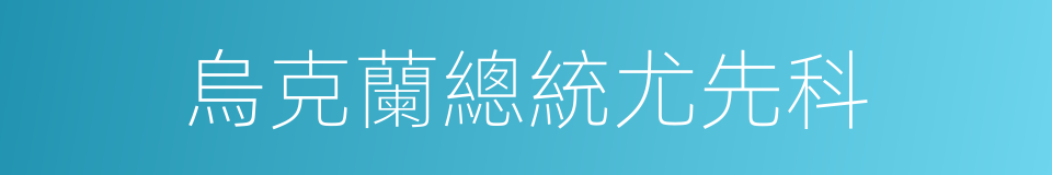 烏克蘭總統尤先科的同義詞