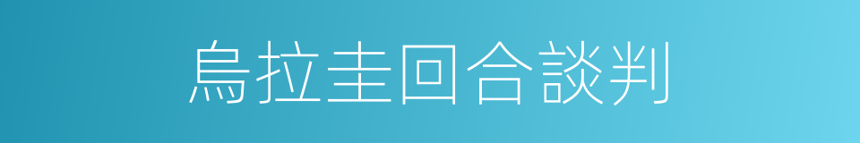烏拉圭回合談判的同義詞