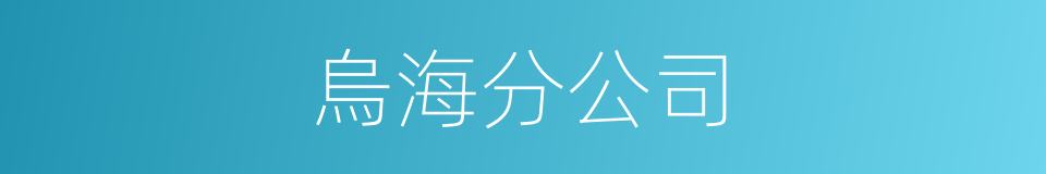 烏海分公司的同義詞