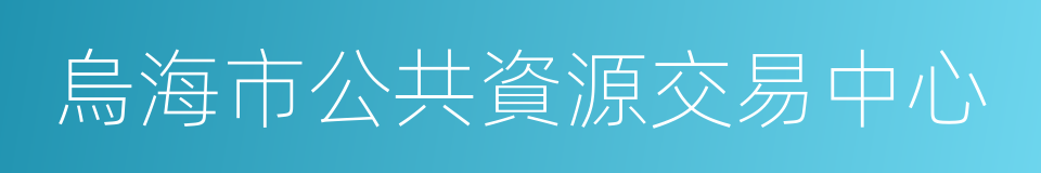 烏海市公共資源交易中心的同義詞
