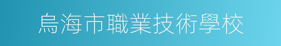 烏海市職業技術學校的意思