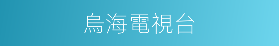 烏海電視台的同義詞