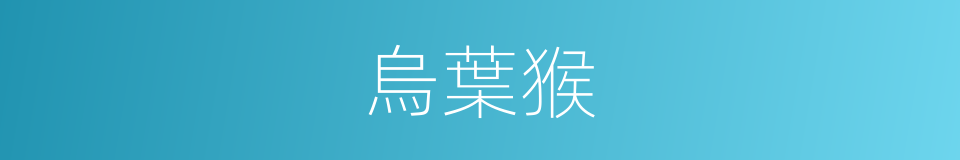 烏葉猴的同義詞