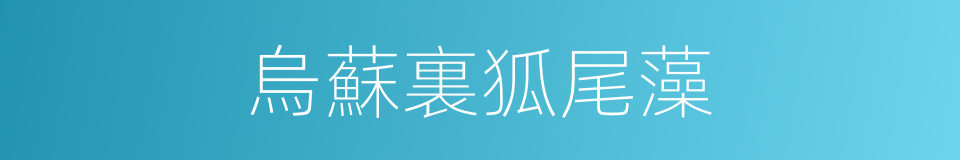 烏蘇裏狐尾藻的同義詞