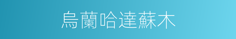 烏蘭哈達蘇木的同義詞