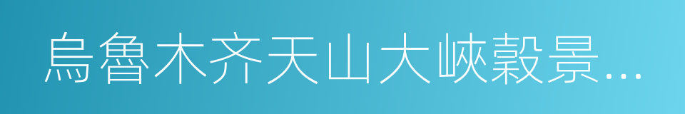 烏魯木齐天山大峽穀景區管理集團有限公司的同義詞