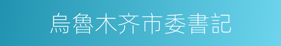 烏魯木齐市委書記的同義詞