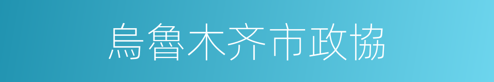 烏魯木齐市政協的同義詞