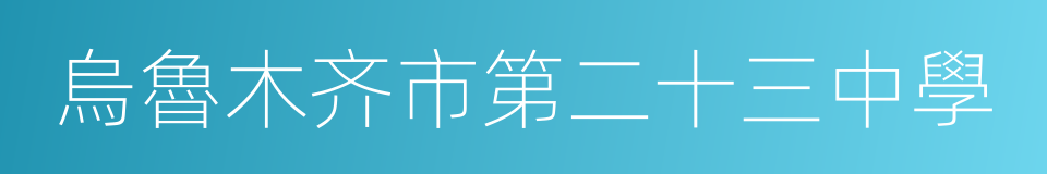 烏魯木齐市第二十三中學的同義詞