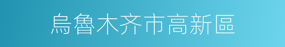 烏魯木齐市高新區的同義詞