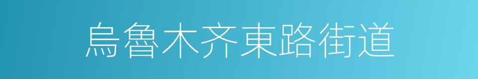 烏魯木齐東路街道的同義詞