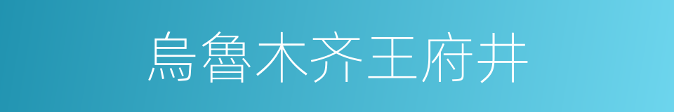 烏魯木齐王府井的同義詞