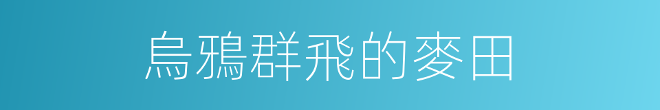 烏鴉群飛的麥田的同義詞