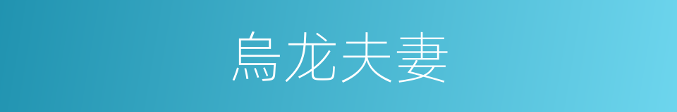 烏龙夫妻的同義詞