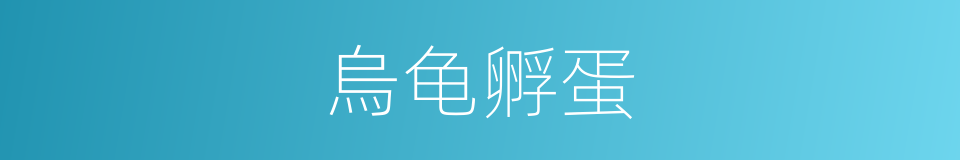 烏龟孵蛋的同義詞