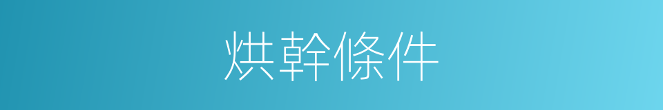 烘幹條件的同義詞