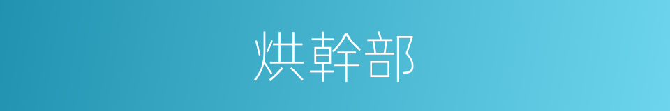 烘幹部的同義詞