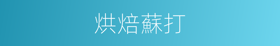 烘焙蘇打的同義詞