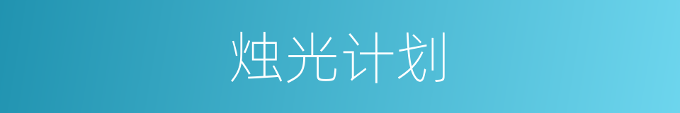 烛光计划的同义词