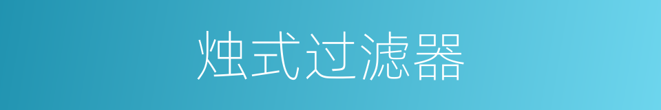 烛式过滤器的同义词