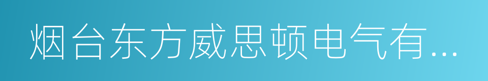 烟台东方威思顿电气有限公司的同义词