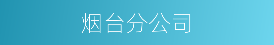 烟台分公司的同义词