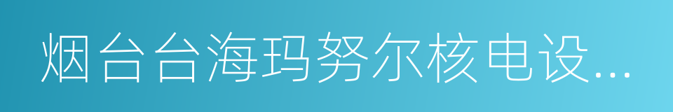 烟台台海玛努尔核电设备有限公司的同义词