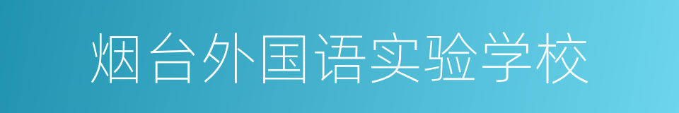 烟台外国语实验学校的同义词