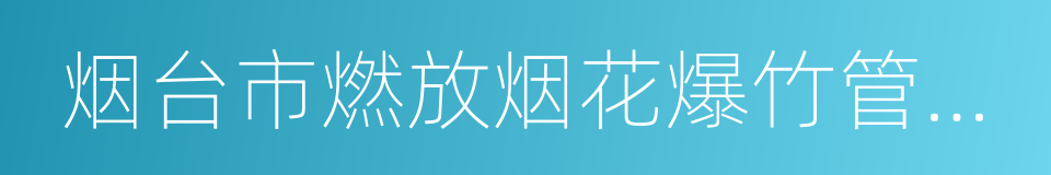 烟台市燃放烟花爆竹管理条例的同义词