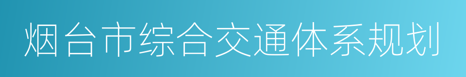 烟台市综合交通体系规划的同义词