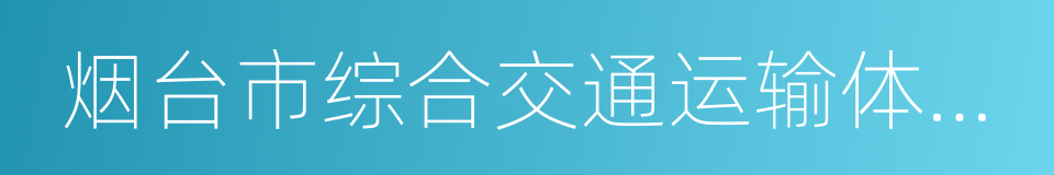 烟台市综合交通运输体系发展规划的同义词