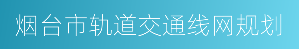 烟台市轨道交通线网规划的同义词