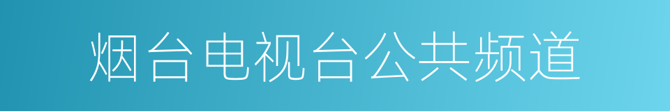 烟台电视台公共频道的同义词