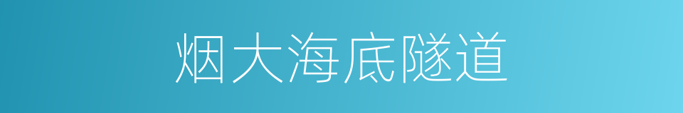 烟大海底隧道的同义词