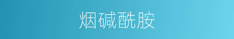 烟碱酰胺的同义词