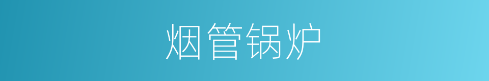 烟管锅炉的同义词