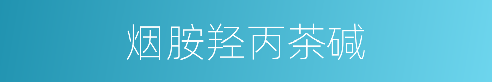 烟胺羟丙茶碱的同义词