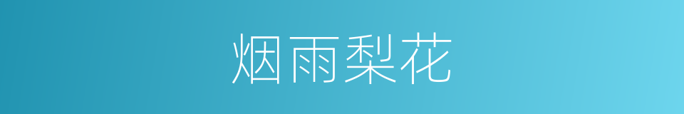 烟雨梨花的同义词