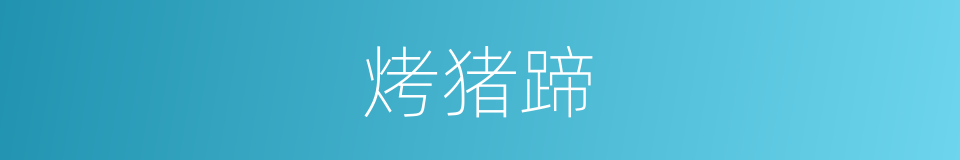 烤猪蹄的同义词