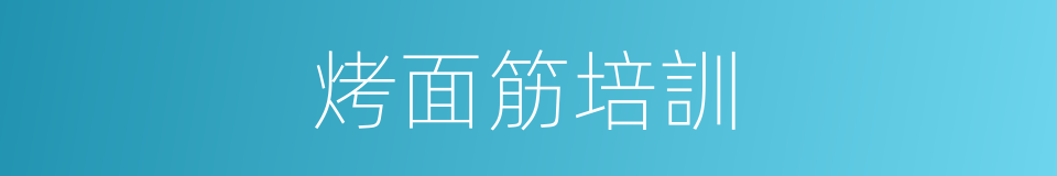 烤面筋培訓的同義詞