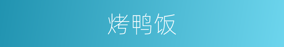 烤鸭饭的同义词