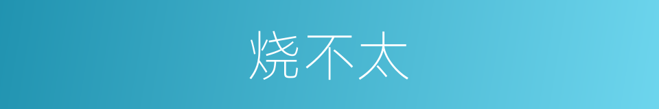 烧不太的同义词