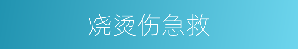 烧烫伤急救的意思